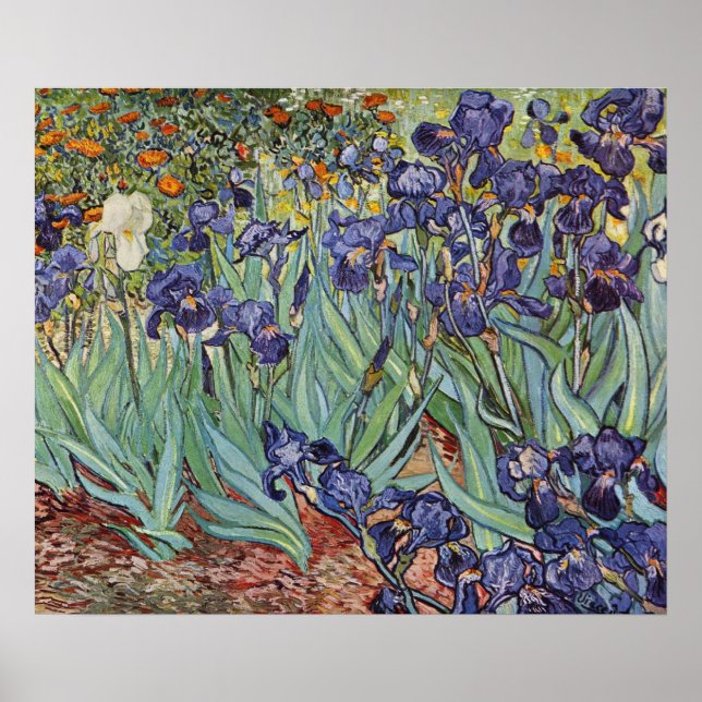 Póster Pintura impresionista de Van Gogh Irises (Frente)
