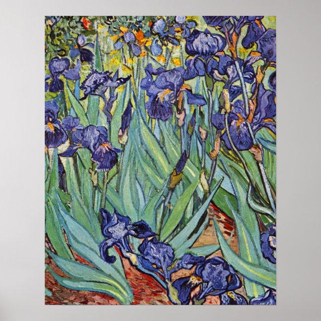 Póster Pintura impresionista de Van Gogh Irises (Frente)