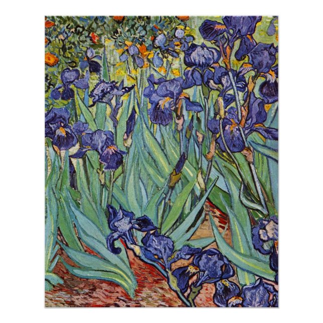 Póster Pintura impresionista de Van Gogh Irises (Anverso)