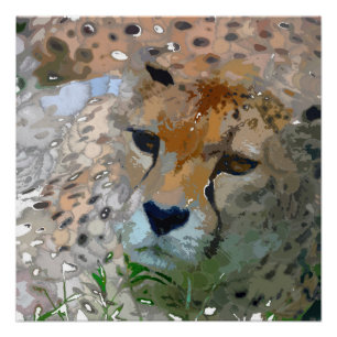 Póster Pintura Loca - Cheetah