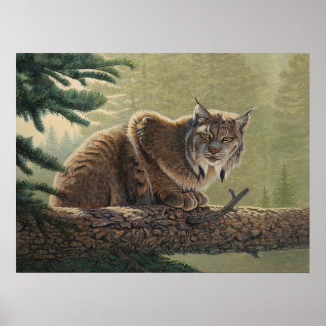 Póster Pintura Lynx - (Frente)