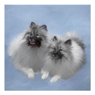 Póster Pintura original de pareja de Keeshond arte animal