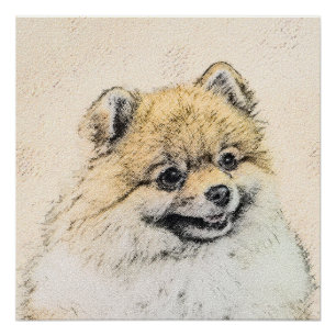 Póster Pintura Pomerania (Naranja) - Arte Perro Original