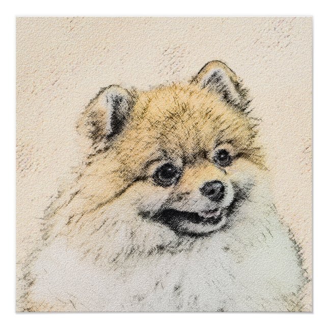Póster Pintura Pomerania (Naranja) - Arte Perro Original (Anverso)