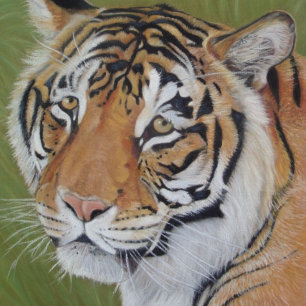Póster pintura retrato de un tigre de gato grande