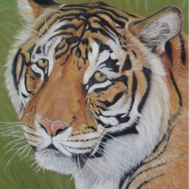 Póster pintura retrato de un tigre de gato grande (Subido por el creador)