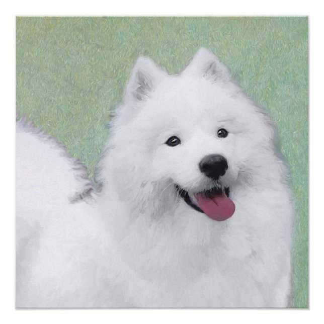 Póster Pintura Samoyed - Arte Perro Original Cuto (Anverso)