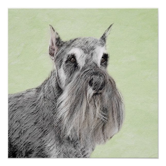 Póster Pintura Schnauzer (gigante, estándar) - Arte de pe (Anverso)