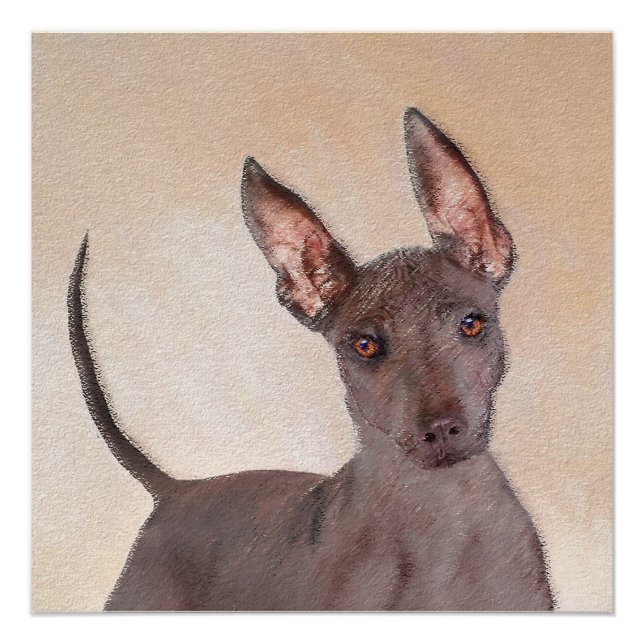 Póster Pintura Xoloitzcuintli - Arte Perro Original Cuto (Anverso)