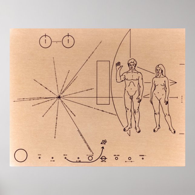 Póster Pioneer Plaque Poster (Frente)