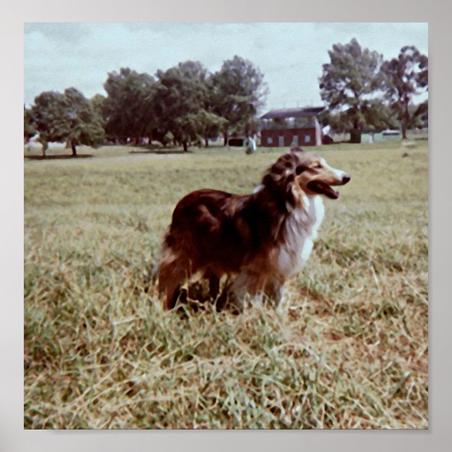 Póster Pippin (Frente)