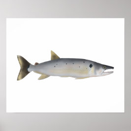 Póster Pirá Yobua