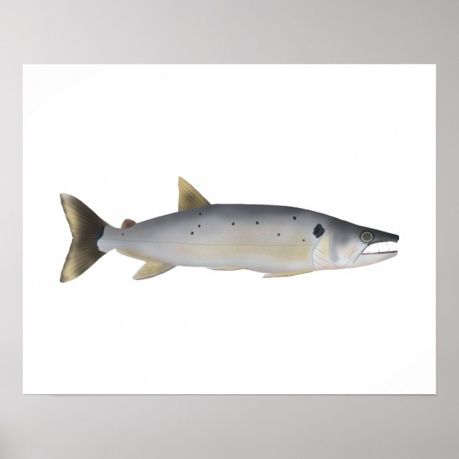 Póster Pirá Yobua (Frente)