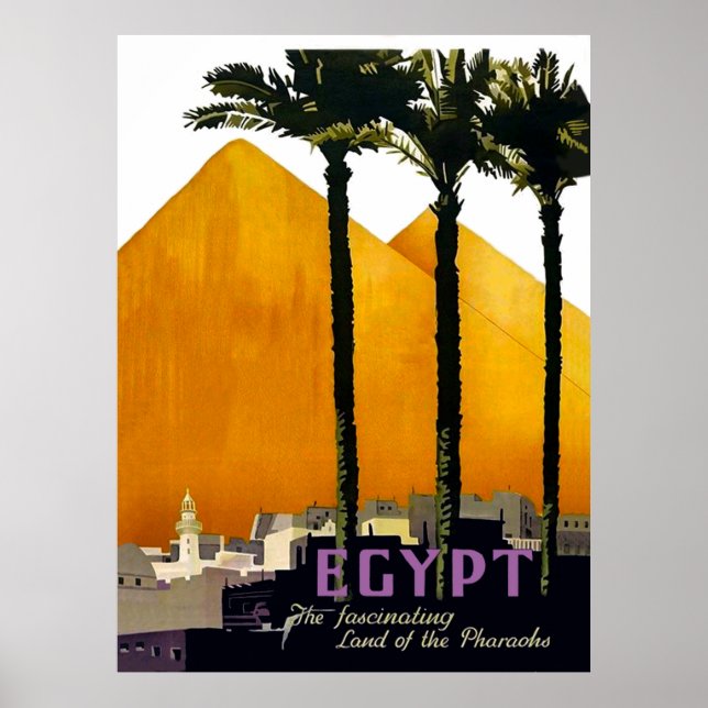 Póster Pirámides detrás de palmeras, Egipto (Frente)