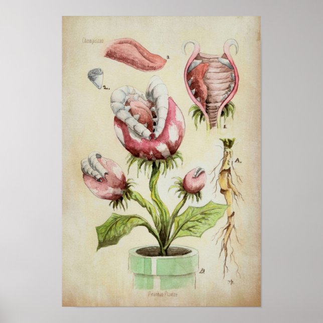 Póster Piranha Plant Botanical Illustration (Frente)