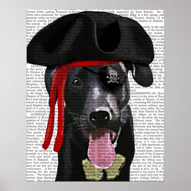 Póster Pirata de Labrador Negro (Frente)