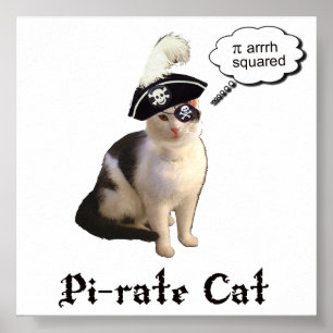 Póster PiRateCat