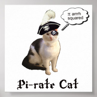 Póster PiRateCat