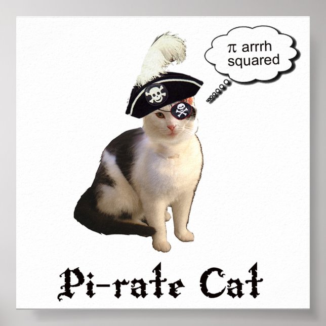 Póster PiRateCat (Frente)