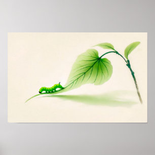 Póster Pirocerola de mariposa de tinta china en Linden