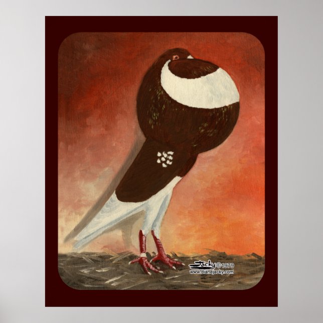 Póster Piruto de cropper de Red Norwich (Frente)