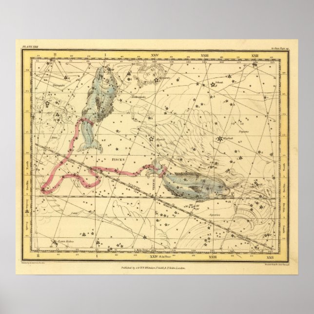 Póster Pisces (Frente)