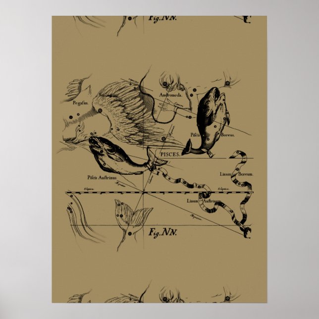 Póster Pisces Constellation Hevelius 1690 en Taupe (Frente)