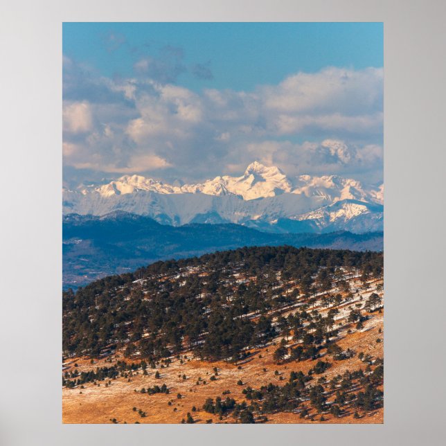 Póster Piscilla del Triglav naranja (Frente)