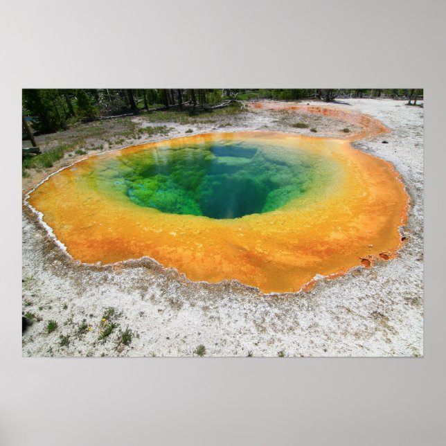 Póster Piscina de gloria de la mañana, Yellowstone Nation (Frente)