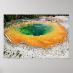 Póster Piscina de la correhuela, Yellowstone Nationa…