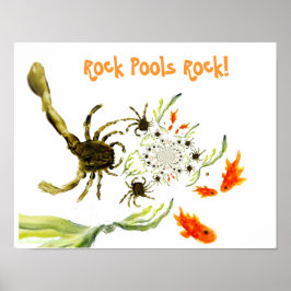 Póster Piscina de rocas junto al mar Cangrejos divertidos