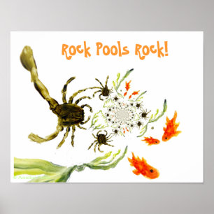Póster Piscina de rocas junto al mar Cangrejos divertidos