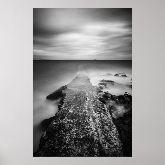 Póster Piscina en vías de desaparición (Frente)