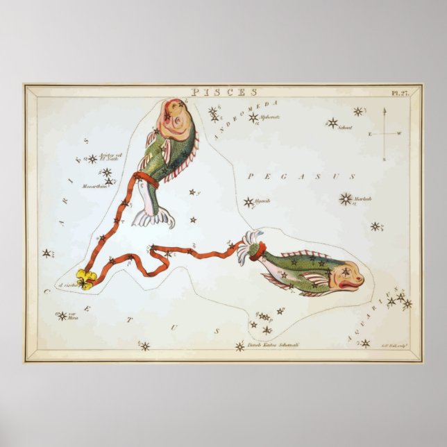 Póster Piscis - Piscis - Horoscopio - Astrología - Estrel (Frente)
