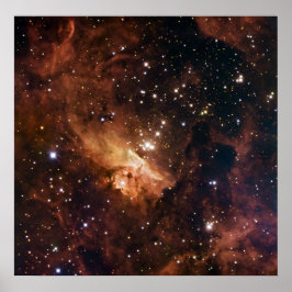 Póster Pismis 24 estrellas marrones NASA