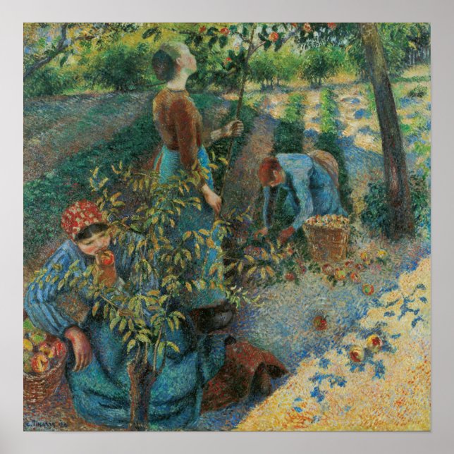 Póster Pissarro - Apple Picking (Frente)