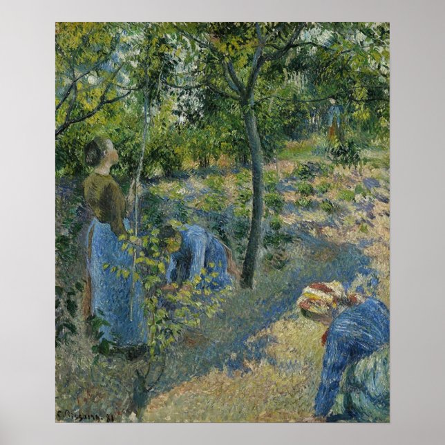 Póster Pissarro - Apple Picking 1881 (Frente)