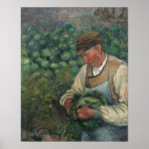 Póster Pissarro - El jardinero Anciano campesino con repo