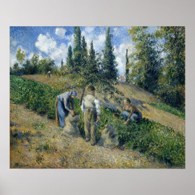 Póster Pissarro - La Cosecha Pontoise 1881 (Frente)