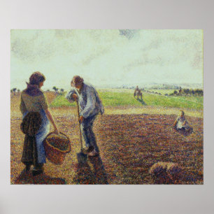 Póster Pissarro - Peasants In The Fields Eragny 1890