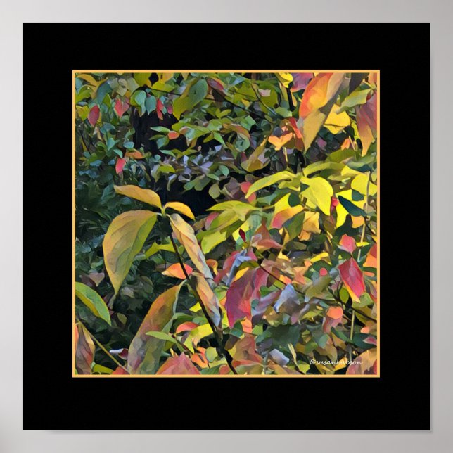 Póster Pistachio chino en otoño (Frente)