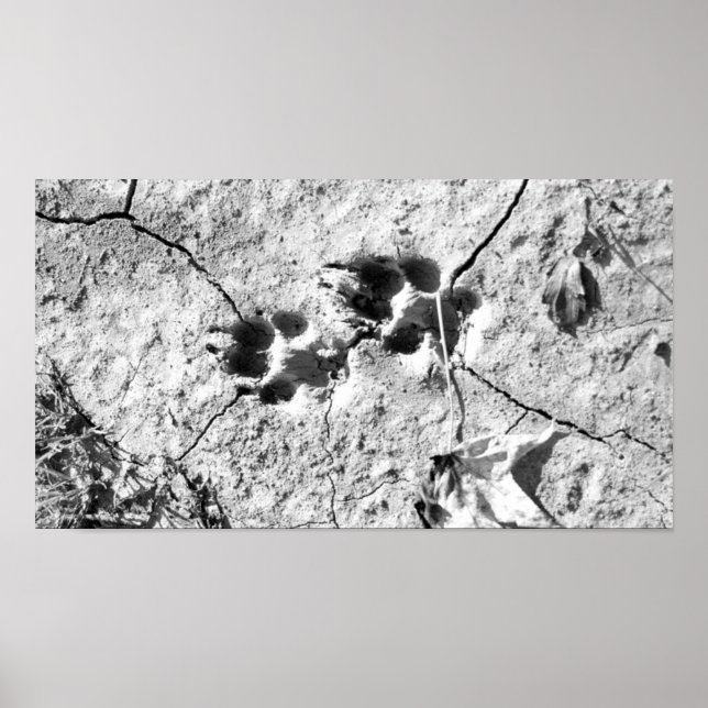 Póster Pistas (Frente)