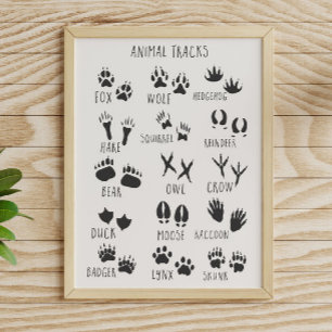 Póster Pistas de animales