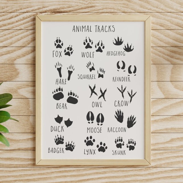Póster Pistas de animales (Subido por el creador)