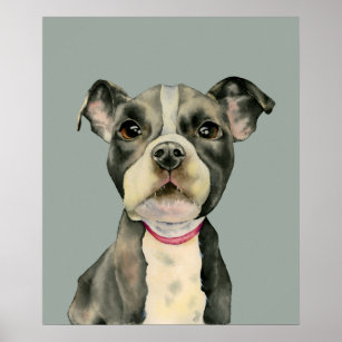 Póster Pit Bull Terrier Puppy Dog Watercolor Art