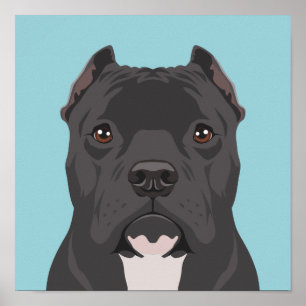 Póster Pitbull