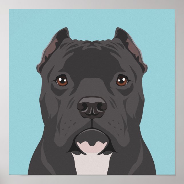 Póster Pitbull (Frente)