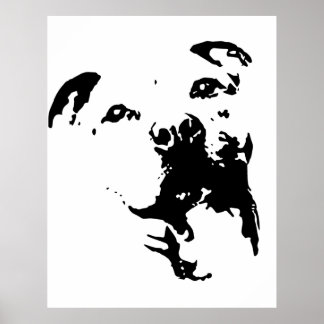 Póster Pitbull Dog
