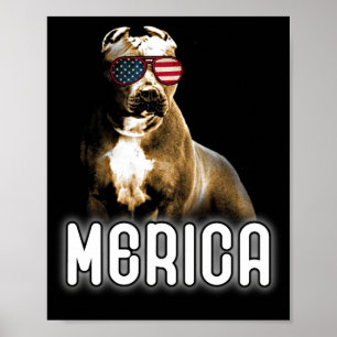 Póster Pitbull Merica Patriota Perro Pit Bull Patriot