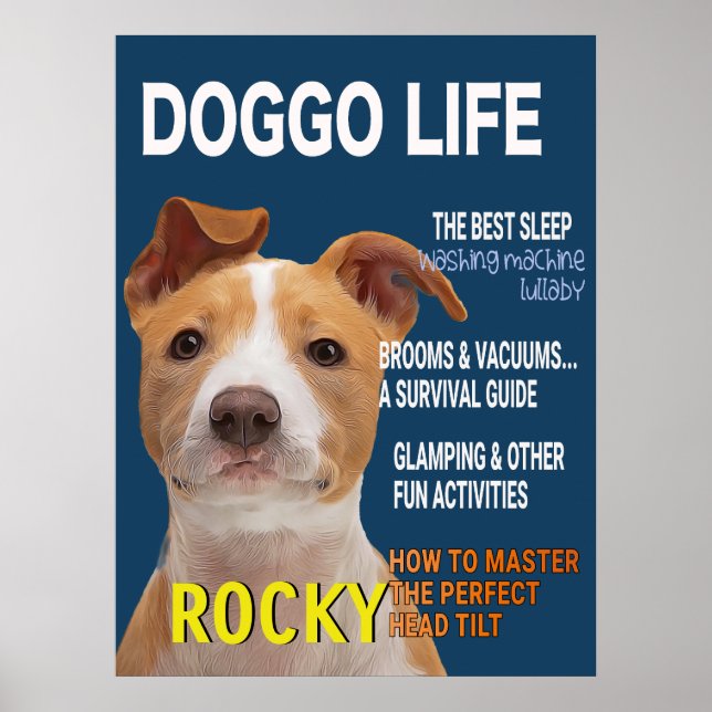 Póster Pitbull Parody Magazine Cover Poster (Frente)